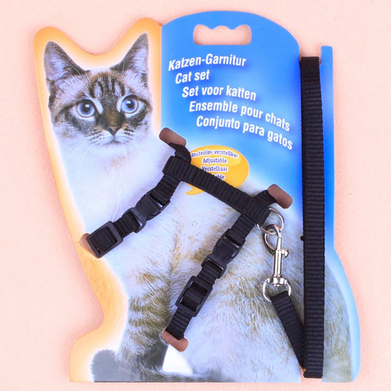 Cat Harness and Leash 1