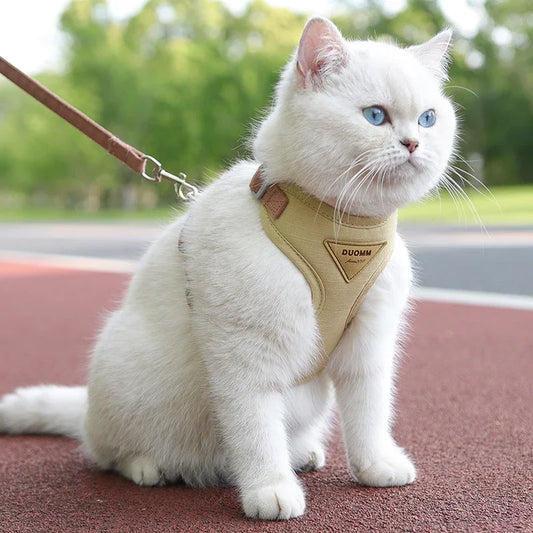 Adjustable Puppy & Small Dog Harness Set