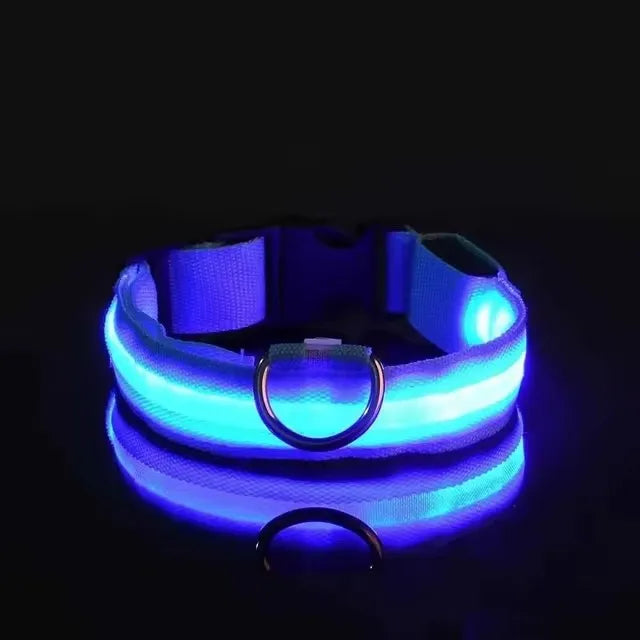 Led Glowing Collar