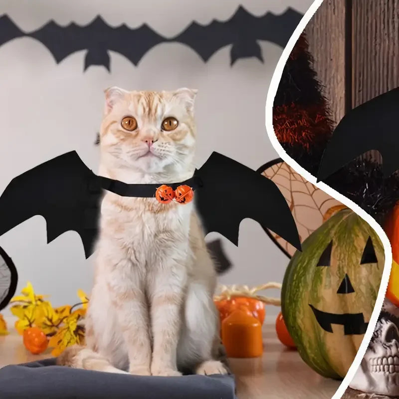 Pet Bat Wings