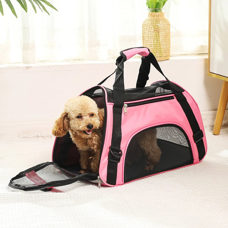 Dog Carrier 7