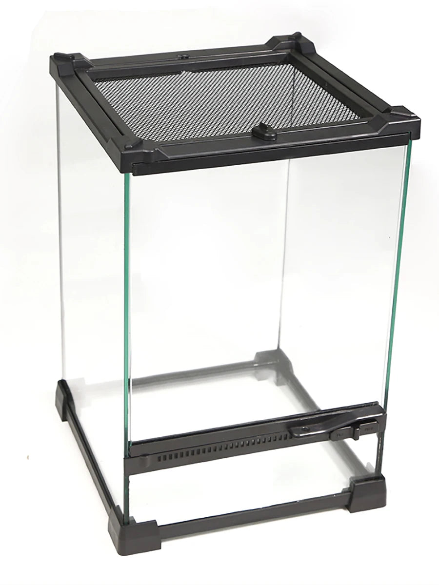 Tempered Glass Terrarium