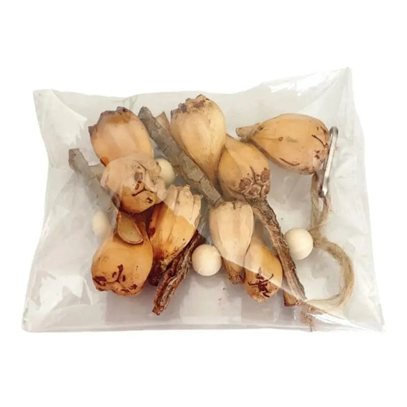 Beak Grinding Training Toy