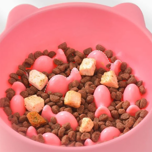 Slow Feeder Bowl