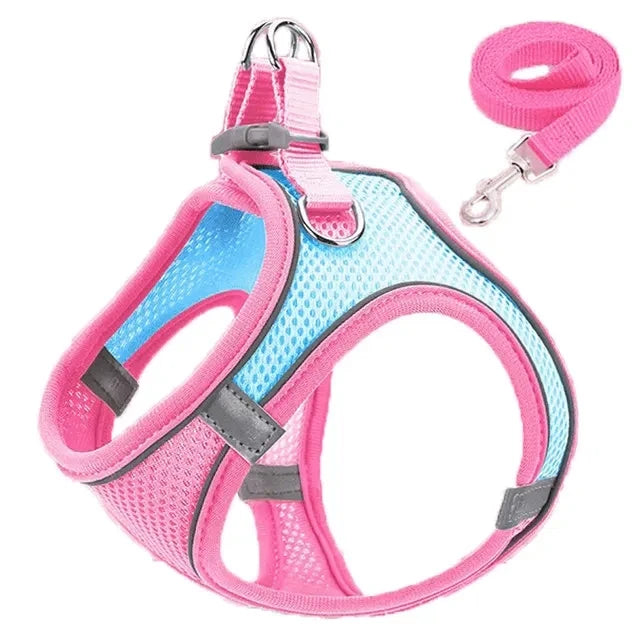 Reflective Dog Harness & Leash Set