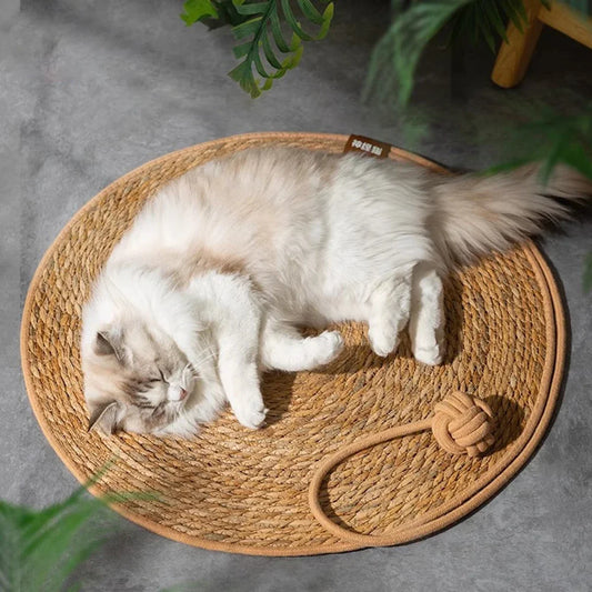 Cat Scratching Board 2