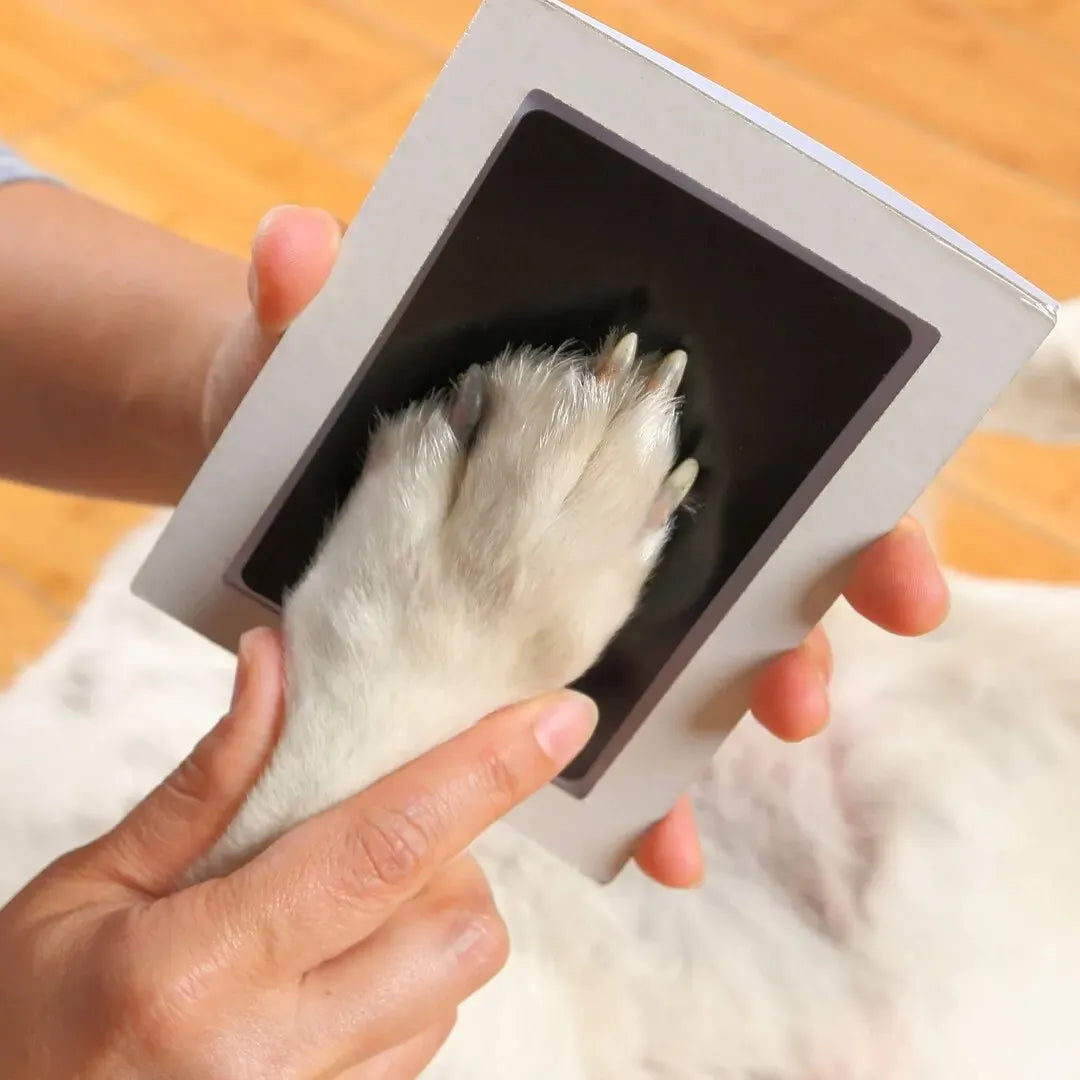 Paw Print Touch Ink Pad