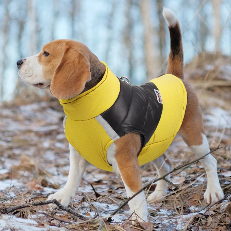 Waterproof Dog Winter Jacket