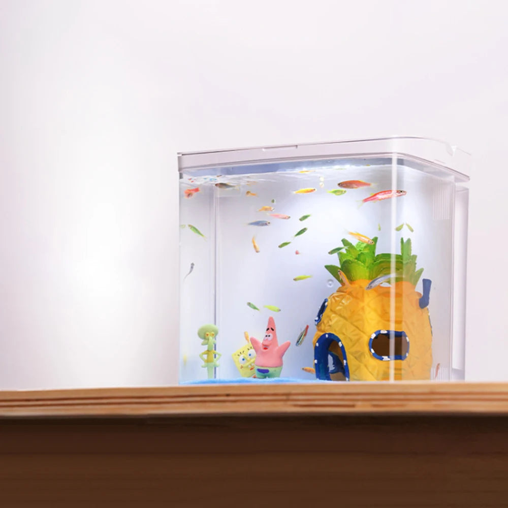 Desktop Fish Tank 1