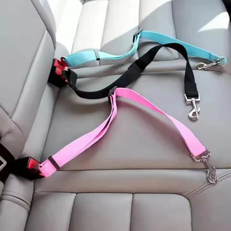 Car Safety Seat Belt Leash