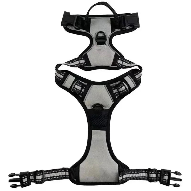 Reflective Adjustable Harness