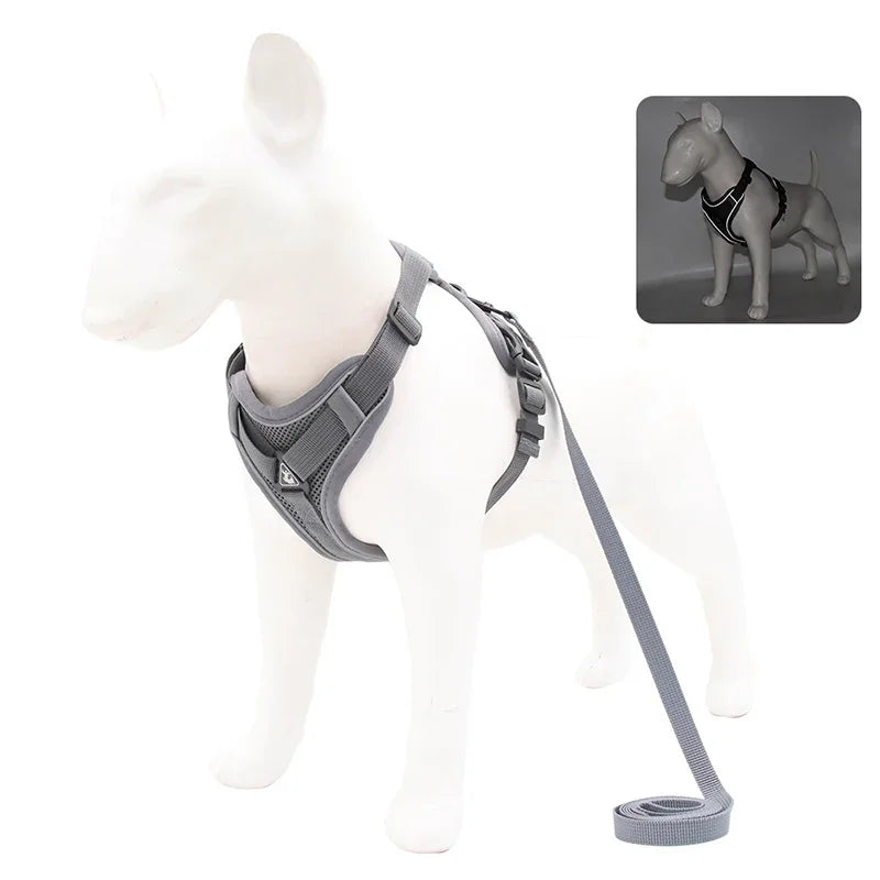 No-Pull Reflective Harness Set