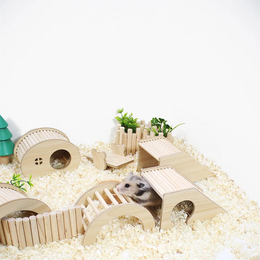 Hamster Climbing Ladder