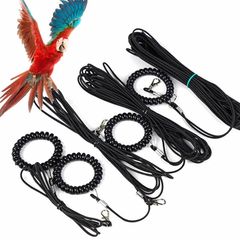Bird Foot Harness