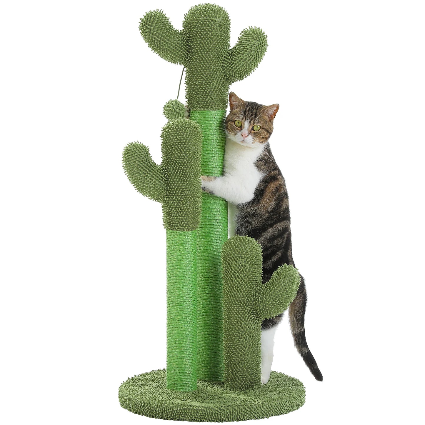 Cat Cactus Tree 1