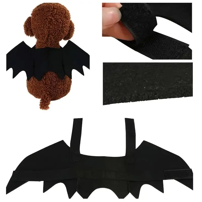 Pet Bat Wings