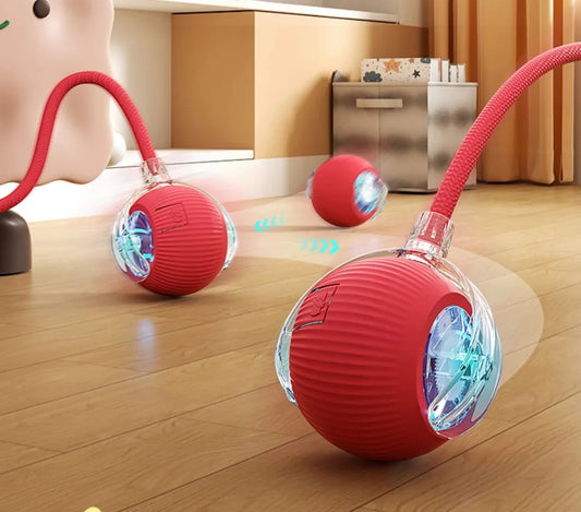 Interactive Ball Toy 2