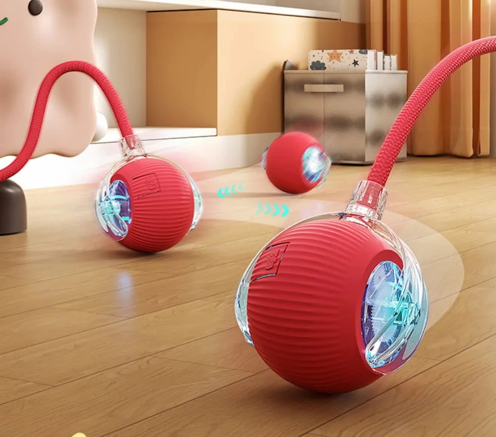 Interactive Ball Toy 2