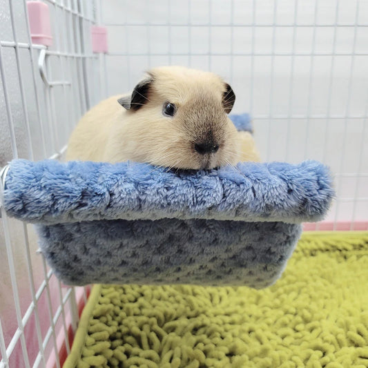 Double-Layer Pet Hammock