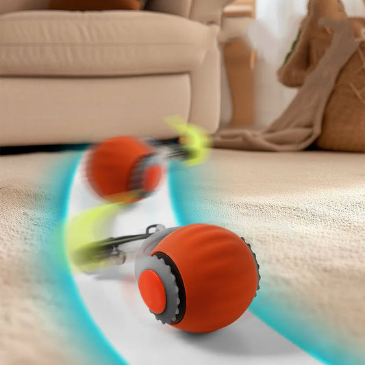 Interactive Ball Toy 3