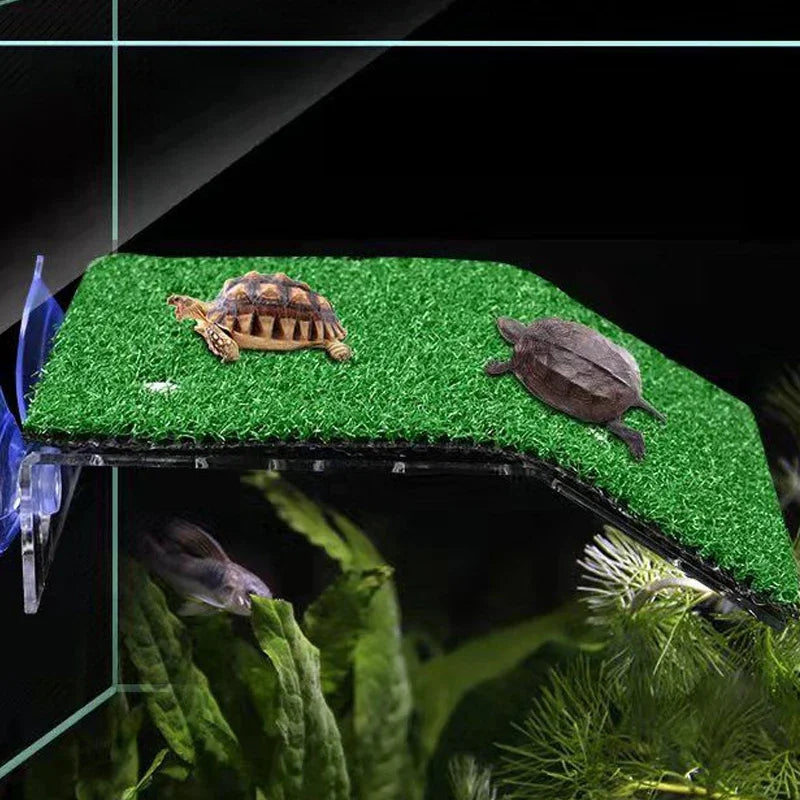 Turtle Moss Platform