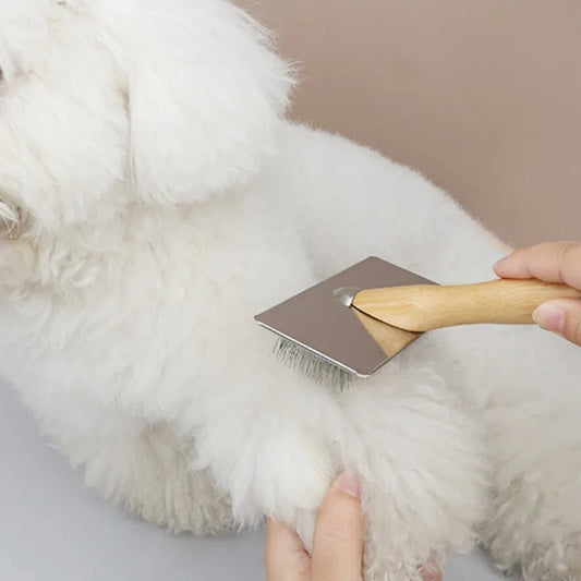 Comb Brush 2