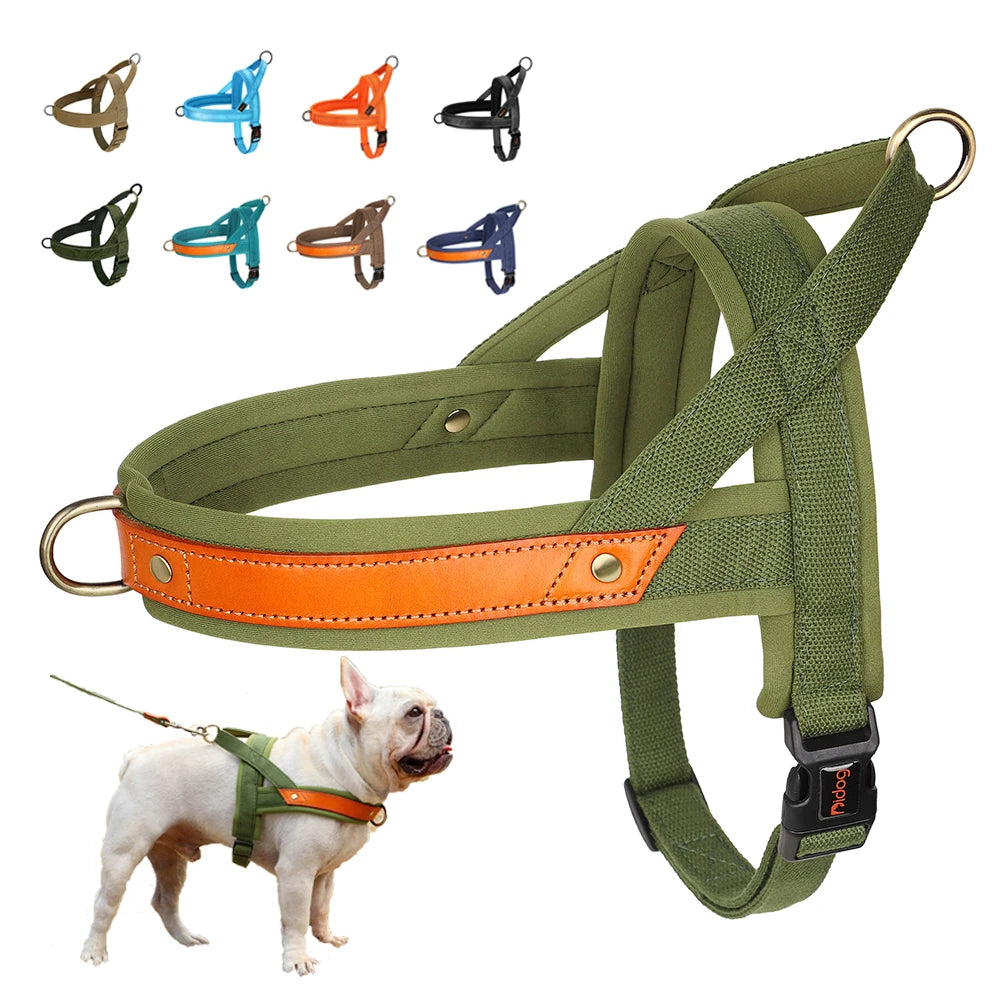Reflective No-Pull Padded Harness