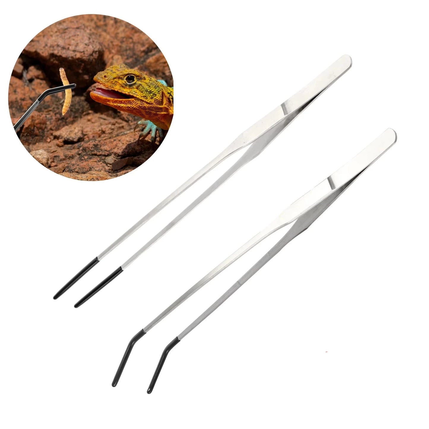 Reptile Feeding Tweezers (2pcs)