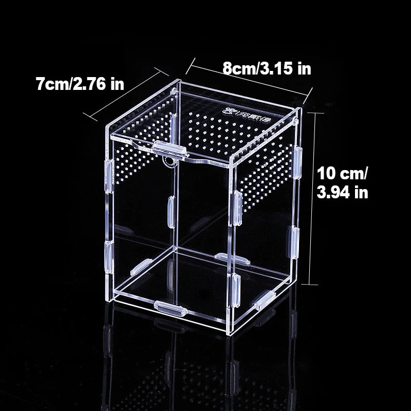 360° Acrylic Spider Habitat