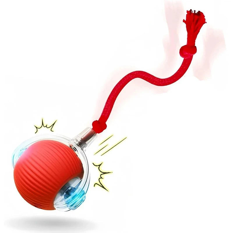 Automatic Rolling Rechargeable Dog Toy