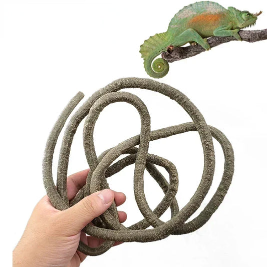 Terrarium Vine Climber