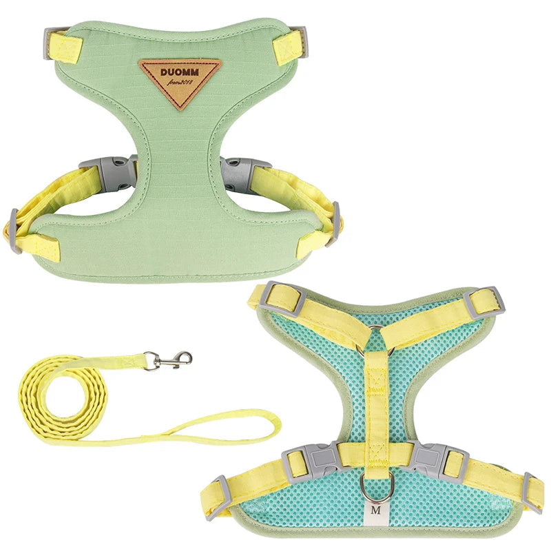 Adjustable Puppy & Small Dog Harness Set