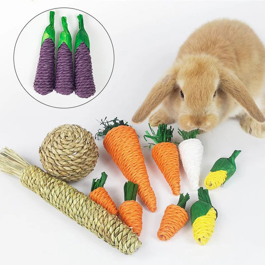 Chew Molar Toy