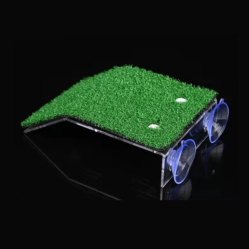 Turtle Moss Platform