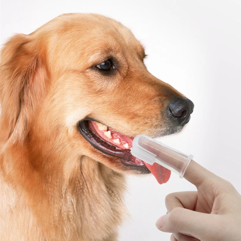Dog Toothbrush