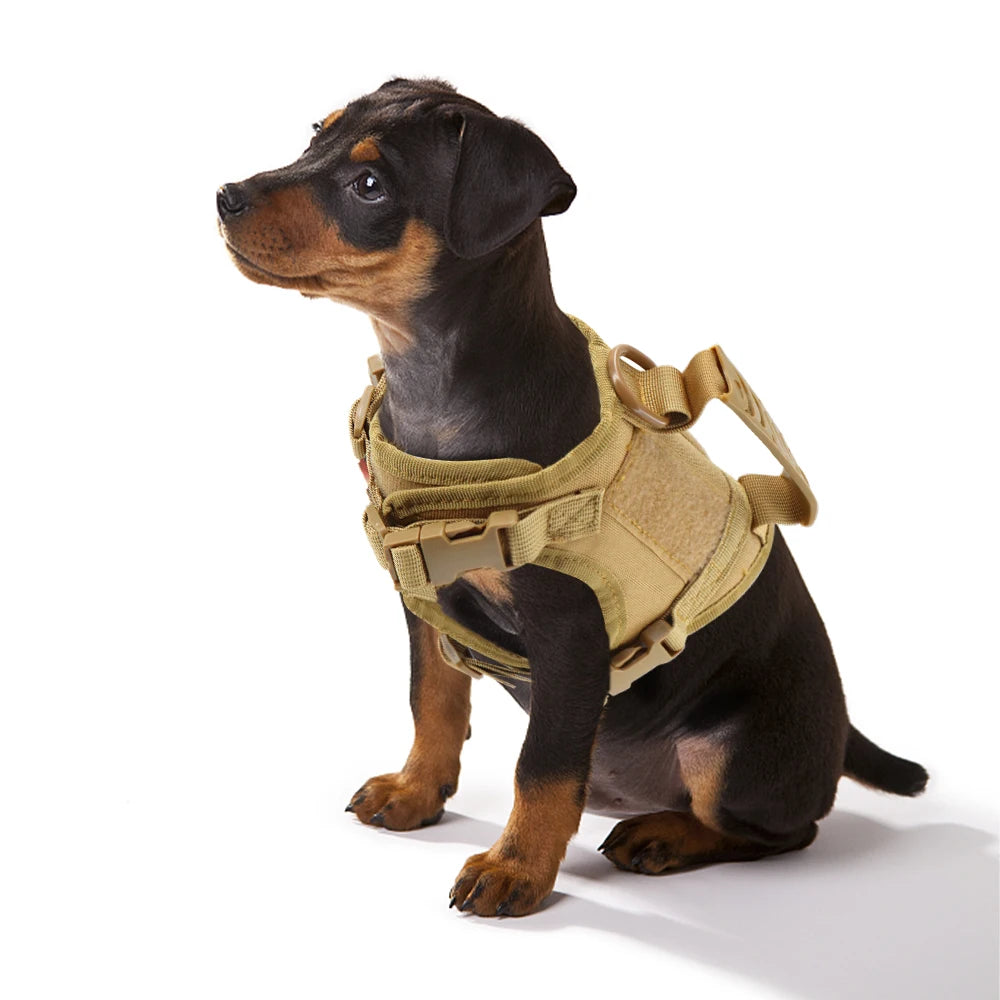 Tactical Puppy & Small Dog Harness Set