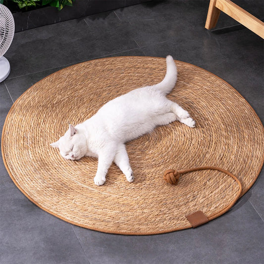 Cat Scratching Board 1