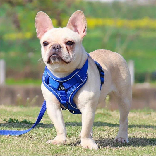 No-Pull Reflective Harness Set