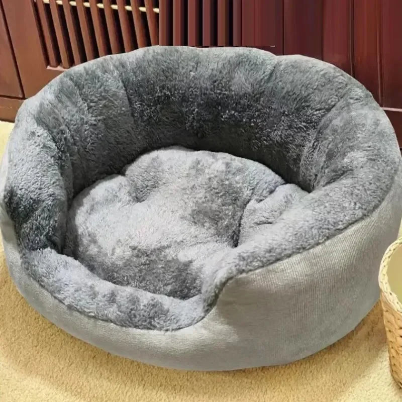 Cozy Pet Sofa - Bed