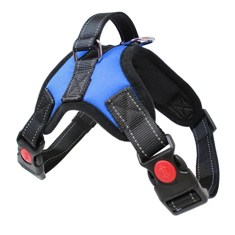 No-Pull Chest Strap Harness