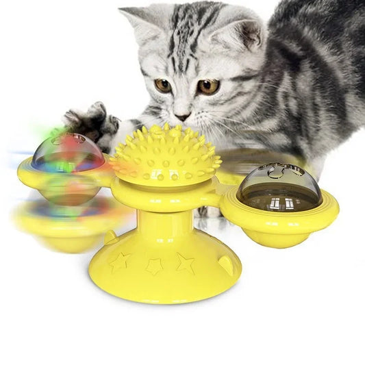 Windmill Interactive Toy