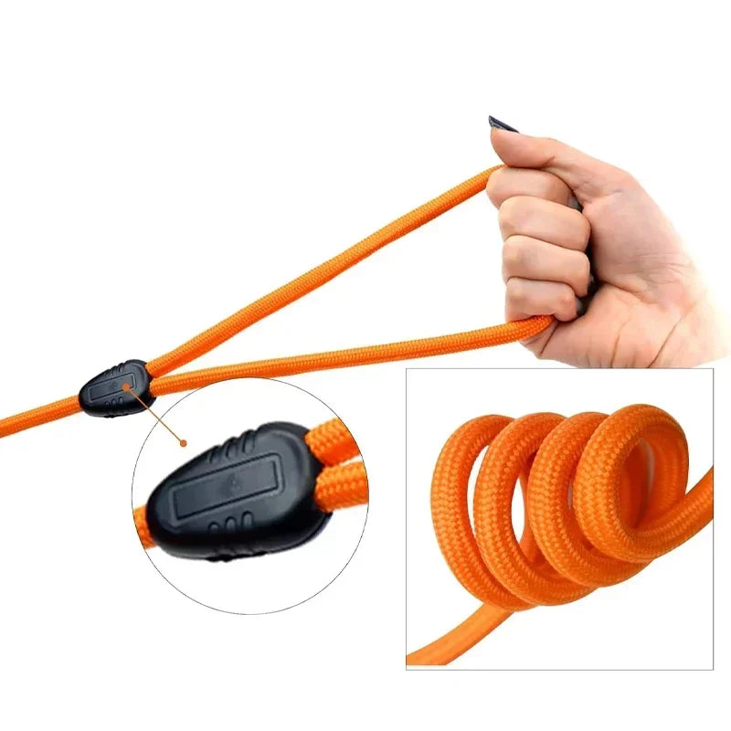 Heavy Duty Nylon Leash