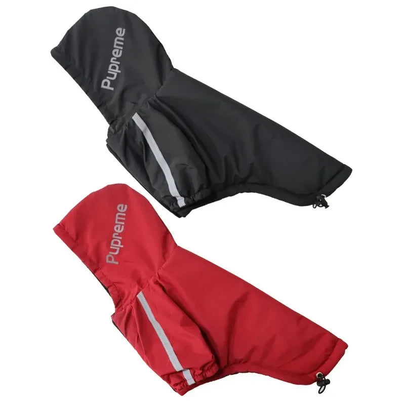 The Dog Face Puffer 1