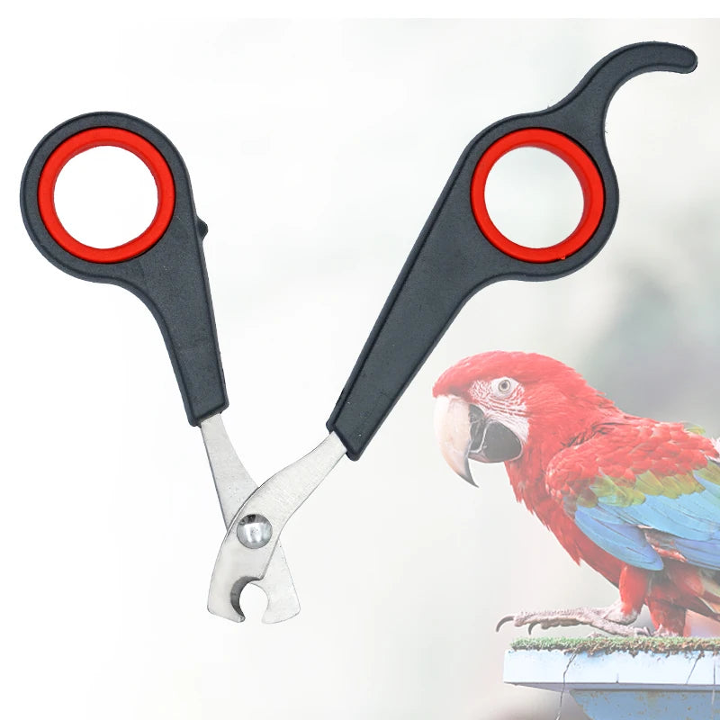 Parrot Nail Clipper