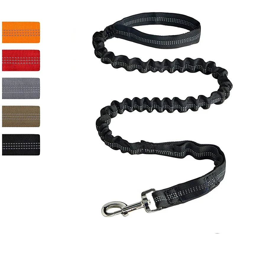 Bungee Leash