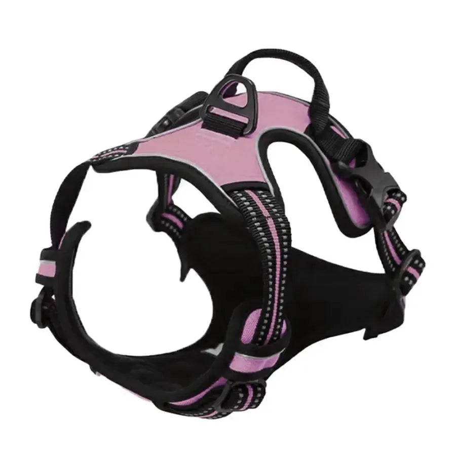 Collars, Harnesses & Leash Set