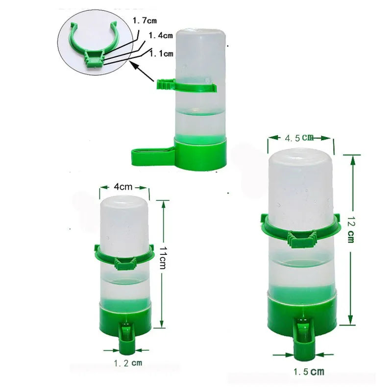 Birds Feeder & Water Dispenser