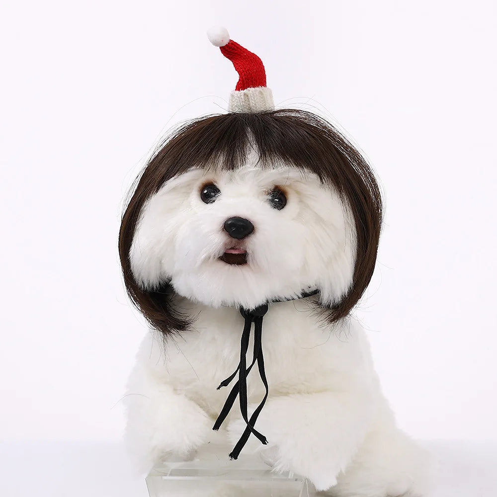 DIY Pet Wig