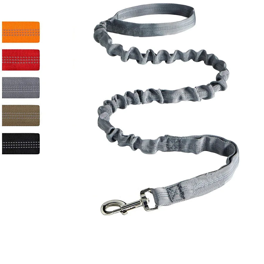 Bungee Leash