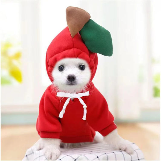 Cute Fruit Pet Costume